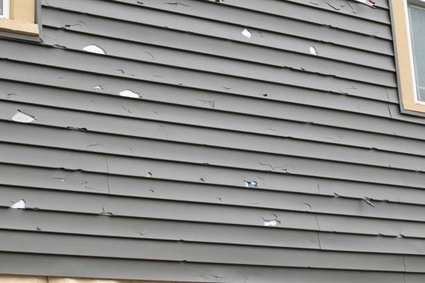 Best Historical Building Siding Restoration  in Norton Center, MA